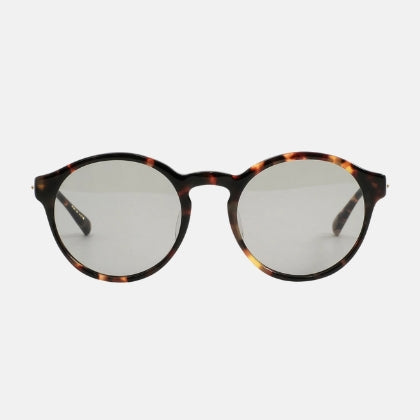 Ski goggles