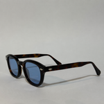 Tortoise / Blue